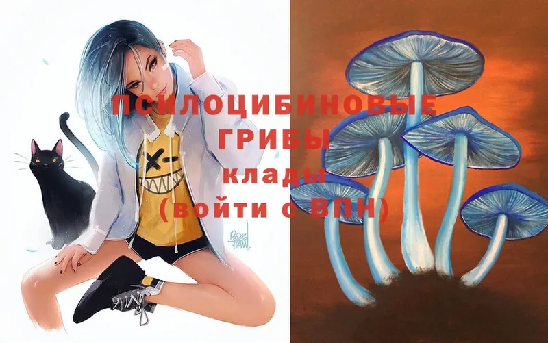 купить  сайты  Тарко-Сале  Галлюциногенные грибы Magic Shrooms 